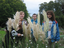 Load image into Gallery viewer, The Sticks/Hands on Heads 10”