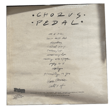 Load image into Gallery viewer, Chorus Pedal - Missed Opportunity for the World LP