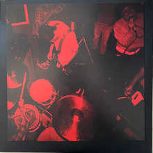 Load image into Gallery viewer, Nuzzle - Follow, For Now LP