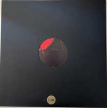 Load image into Gallery viewer, Nuzzle - Follow, For Now LP