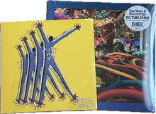 Load image into Gallery viewer, Scene-with-no-name vinyl bundle