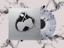 Load image into Gallery viewer, Silver Apples LP