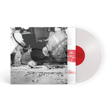 Load image into Gallery viewer, Nuzzle - Follow, For Now LP