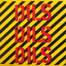 Load image into Gallery viewer, Dils - Dils Dils Dils LP