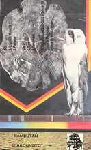 Load image into Gallery viewer, Rambutan - Surrounded cassette