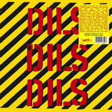 Load image into Gallery viewer, Dils - Dils Dils Dils LP