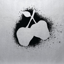 Load image into Gallery viewer, Silver Apples LP