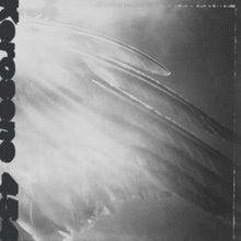 Load image into Gallery viewer, Kerosene 454 - Came By To Kill Me LP