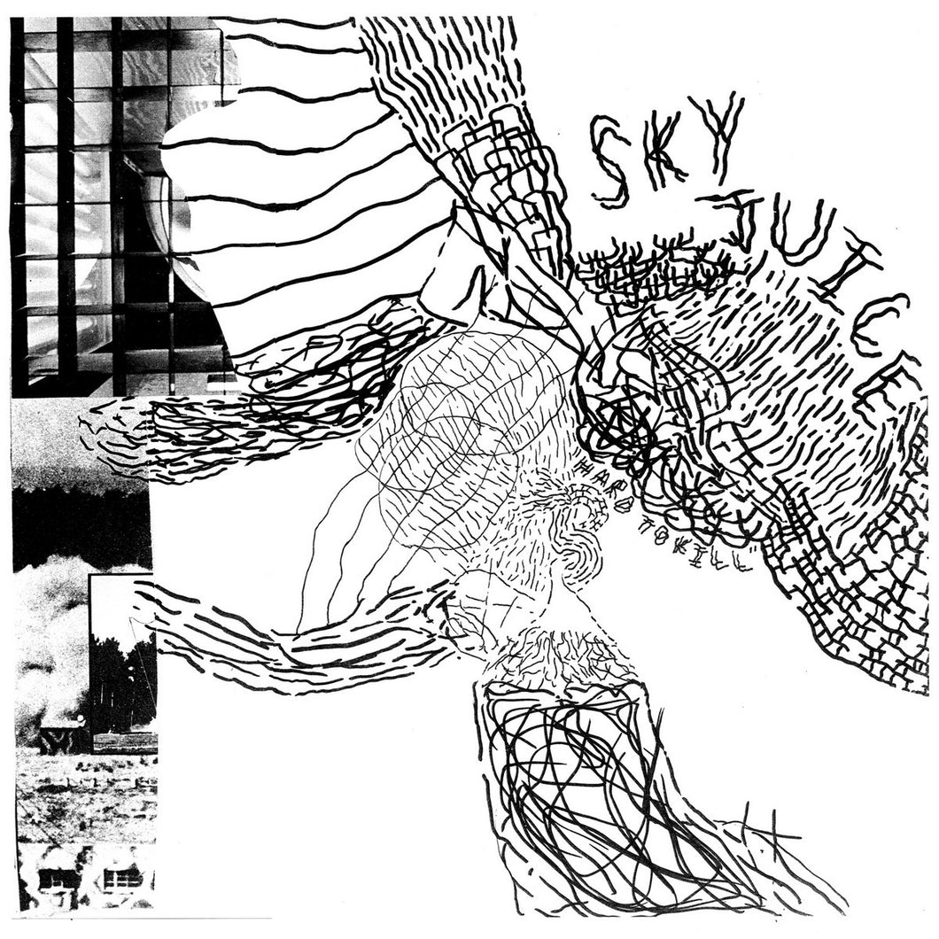 Sky Juice - Hard To Kill LP