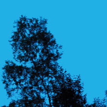 Load image into Gallery viewer, New Zealand bundle