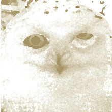 Load image into Gallery viewer, Core Of The Coalman - Box Of The Last Help CD