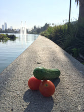 Load image into Gallery viewer, Entitled zine