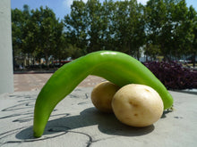 Load image into Gallery viewer, Entitled zine