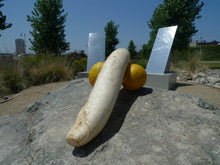 Load image into Gallery viewer, Entitled zine