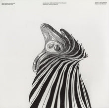 Load image into Gallery viewer, Tetuzi Akiyama Jeffrey Allport ‎– Live At The Western Front LP
