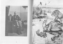 Load image into Gallery viewer, NeAnoNeNoNo 2 zine