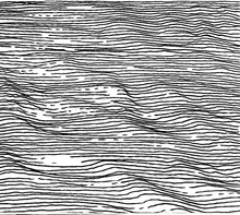 Load image into Gallery viewer, Jorge Boehringer - A Collection of Clear Songs CDR