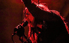 Load image into Gallery viewer, Mansion - Early Life LP