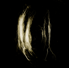 Load image into Gallery viewer, Black background with abstract, wispy, beige-white flame-like streaks and thread-like lines vertically arranged.