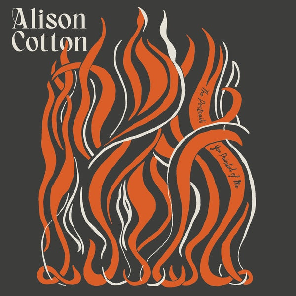 Alison Cotton - The Portrait You Painted of Me LP