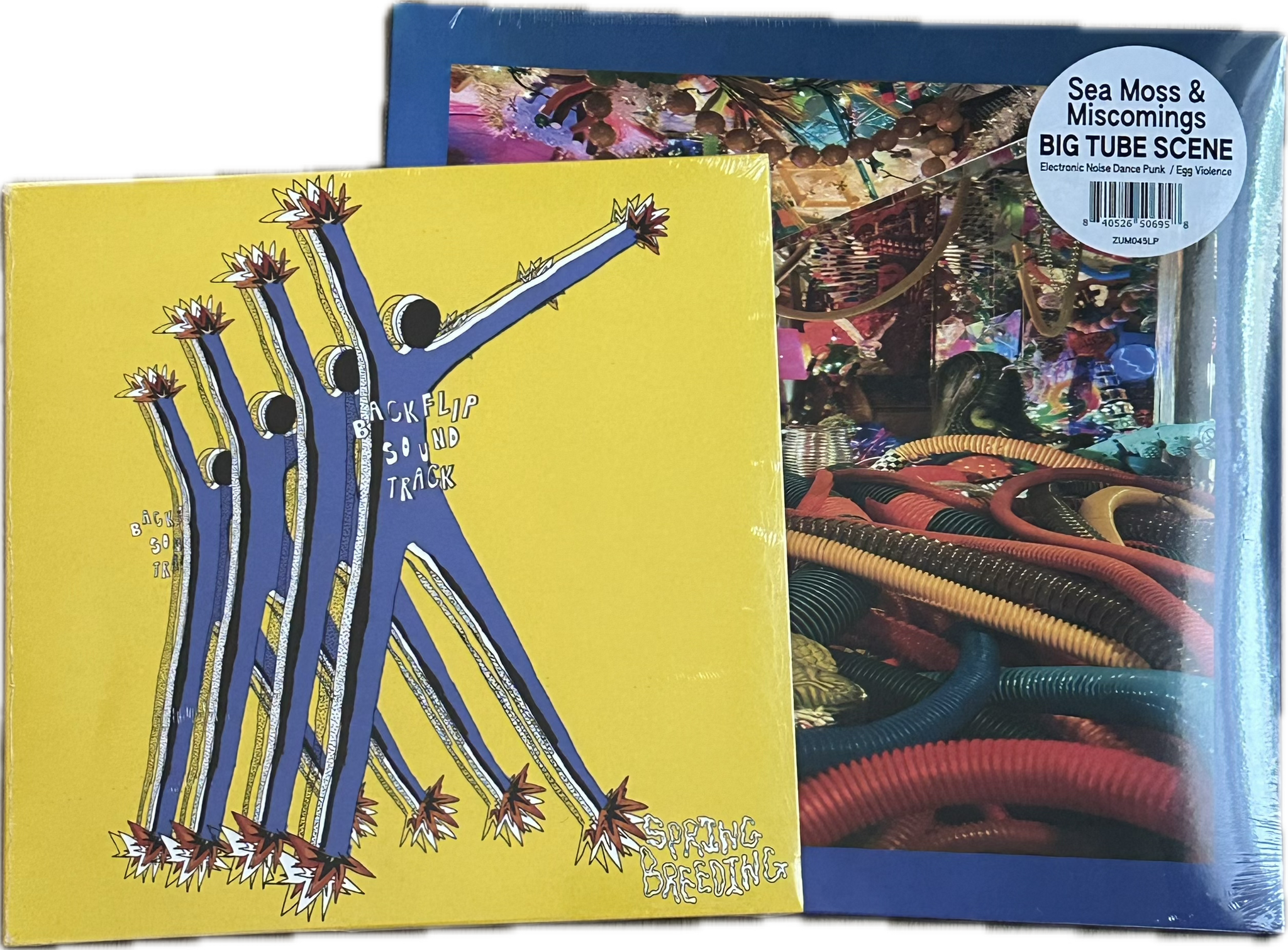 ZUM ZUM DVD vol.0 貴重 ZUM RELEASES – Zum
