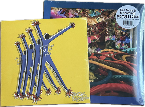ZUM ZUM DVD vol.0 貴重 ZUM RELEASES – Zum