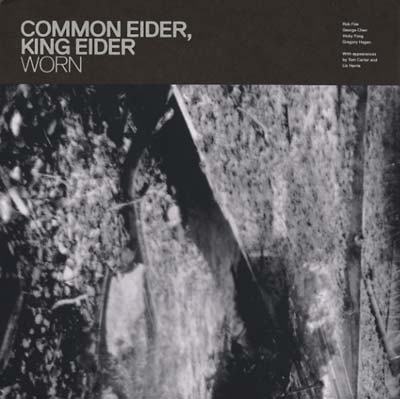 Common Eider, King Eider - Worn LP