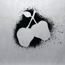 Load image into Gallery viewer, Silver Apples LP
