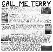 Load image into Gallery viewer, Terry - Call Me Terry LP
