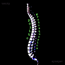 Load image into Gallery viewer, Usurp Synapse - Polite Grotesqueries 10&quot;
