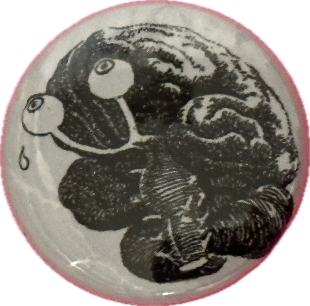 Boxleitner brain pin
