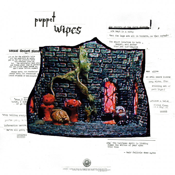 Puppet Wipes - The Stones are Watching and they Can be A Handful LP