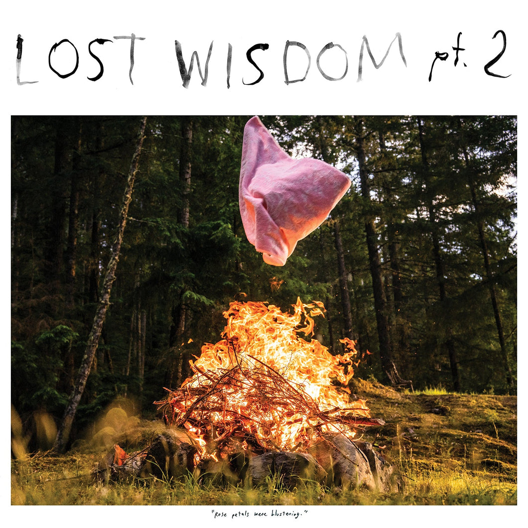 Mount Eerie With Julie Doiron – Lost Wisdom Pt. 2 LP