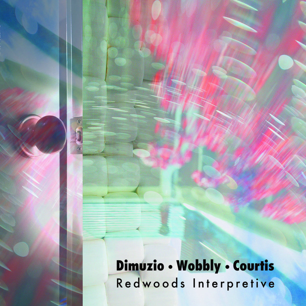 Dimuzio / Wobbly / Courtis - Redwoods Interpretive LP