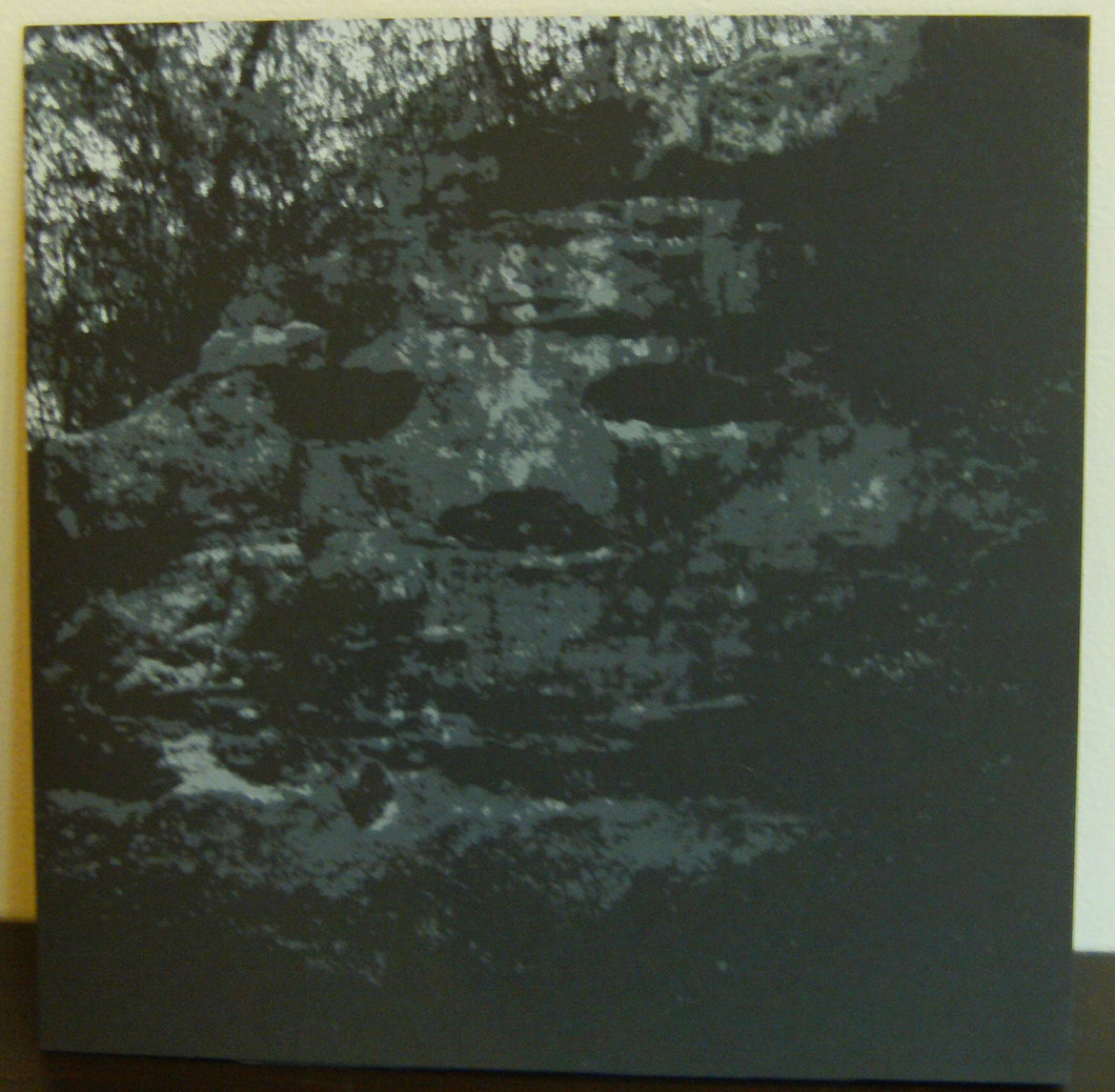 Panicsville – A Dragonfly For Each Corpse LP + 7