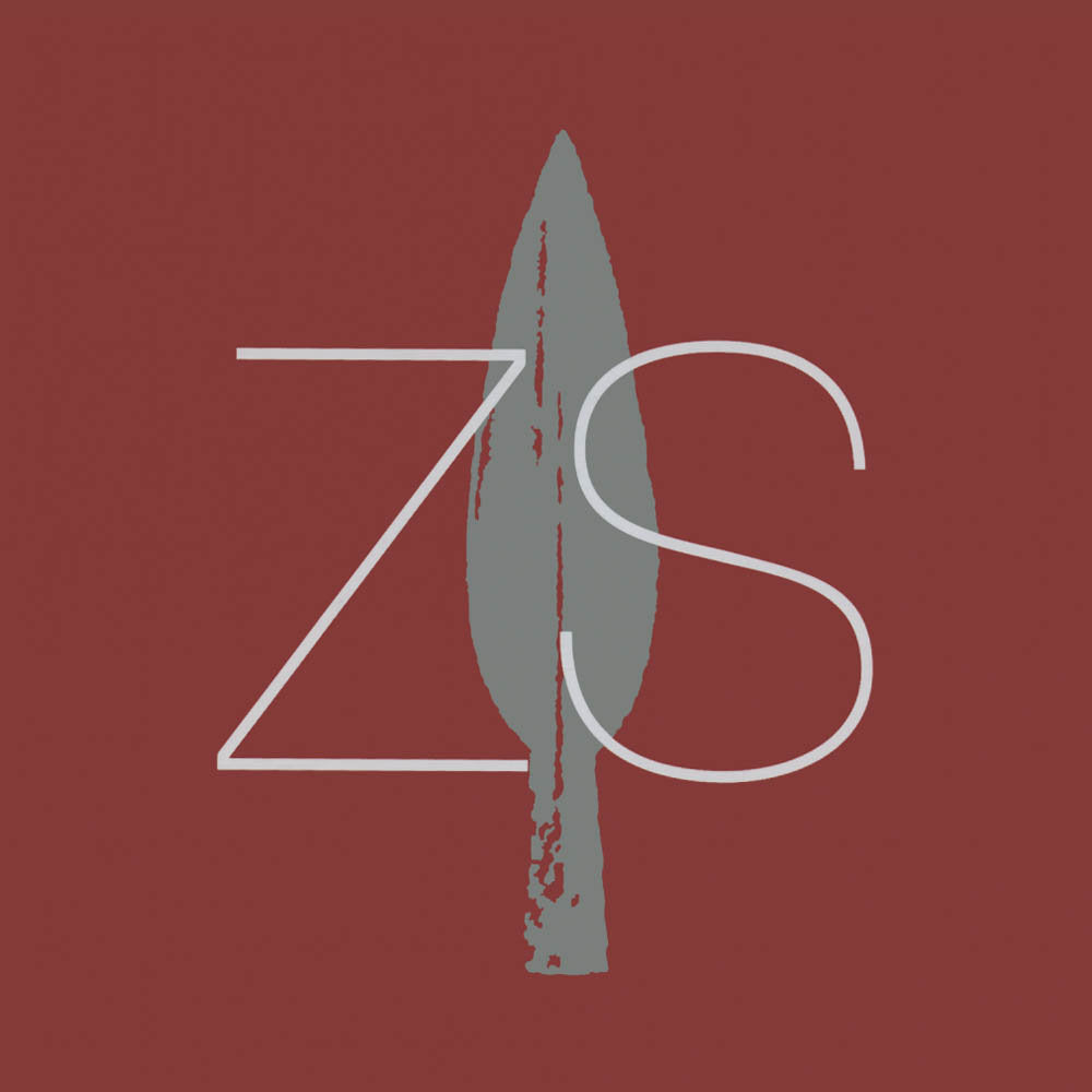 Zs - Arms CD
