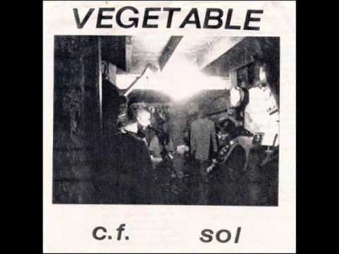 Vegetable 7